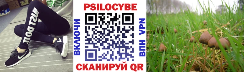 Галлюциногенные грибы Psilocybe  Снежинск 